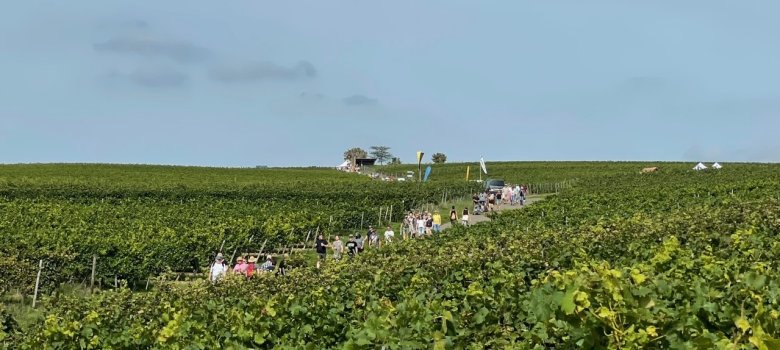 Weinbergshäuschen-Wanderung