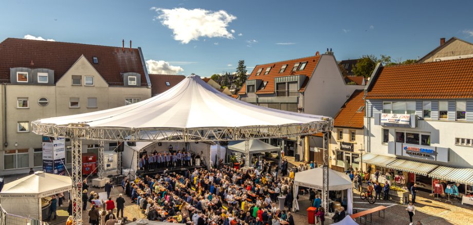 Das Alzeyer Winzerfest