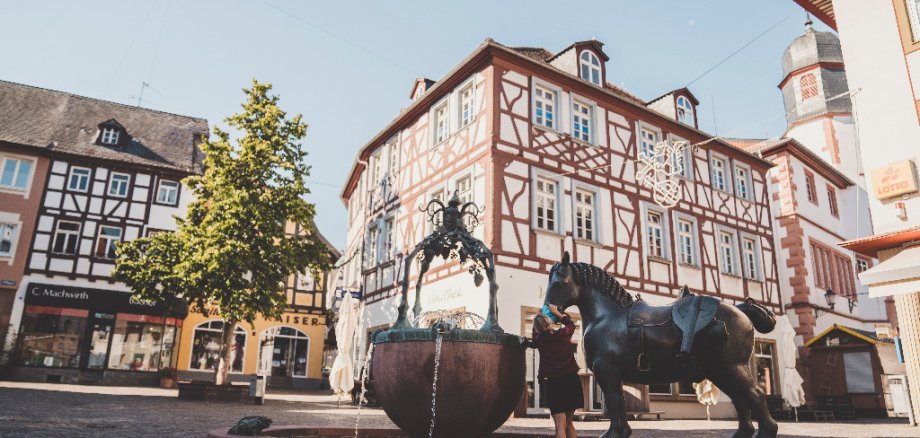Am Roßmarktbrunnen mit Stadtmaskottchen Pferd Max steht eine Frau. Im Hintergrund sind die historischen Fachwerkhäuser zu sehen.
