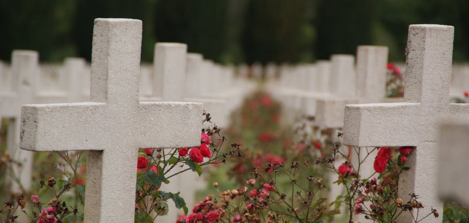 Weiße Kreuze aus Stein, manche mit Blumen geschmückt