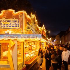 Alzeyer Winzerfest bei Nacht