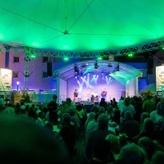 Winzerfest konzert bei Nacht